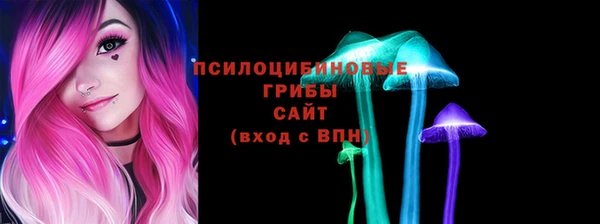 соль курить ск Алзамай