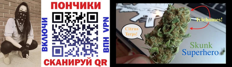 Шишки марихуана OG Kush  сколько стоит  МЕГА маркетплейс  Строитель 